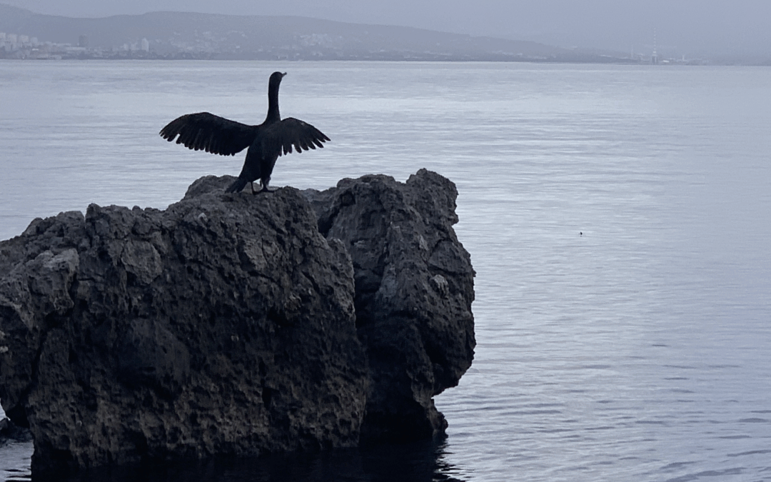Veränderung beginnt mit Klarheit: Ihr nächster Schritt zu mehr Leichtigkeit, Fokus und innerer Stärke