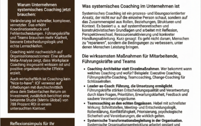 Warum Unternehmen Systemisches Coaching jetzt brauchen!